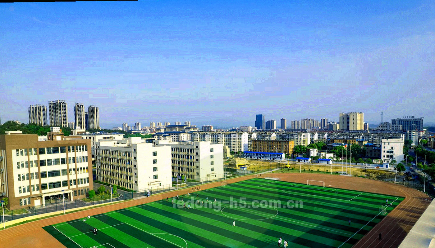 左右对照的条形与雷达形态抽象图形，无文字内容